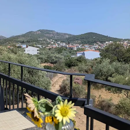 The Rose Of * Λιμενάρια